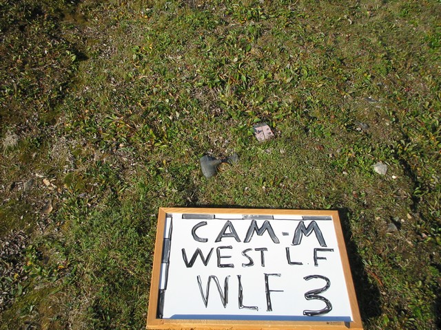 Thumb for 17 aug 05 wlf3.jpg (4052 KB)